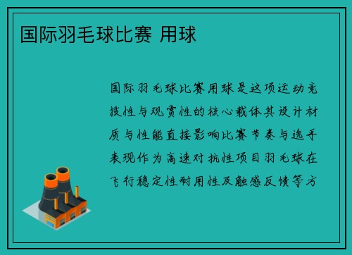 国际羽毛球比赛 用球